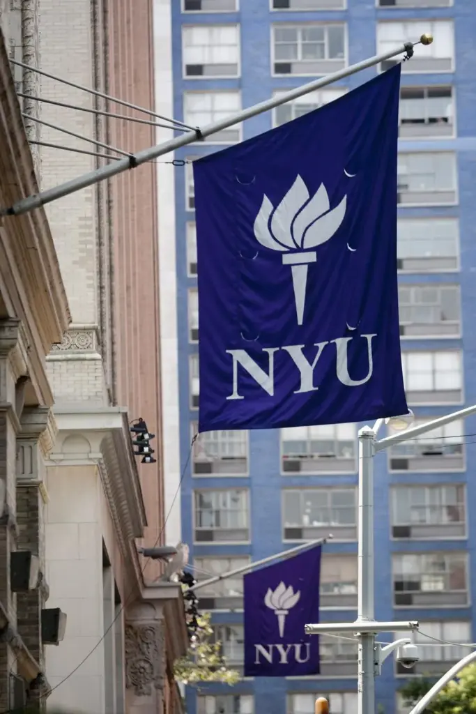 Schools & Universities